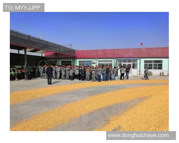 儿童体育教育培训助力身心发展培养健康快乐的未来少年