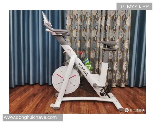 全面解析室内健身器材名称及其图片展示助你打造完美家庭健身空间