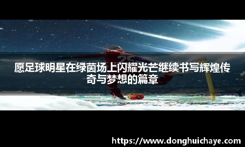 愿足球明星在绿茵场上闪耀光芒继续书写辉煌传奇与梦想的篇章