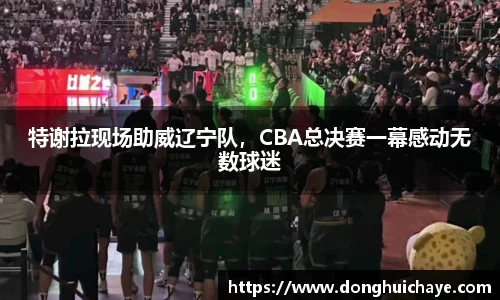 星空体育综合官网